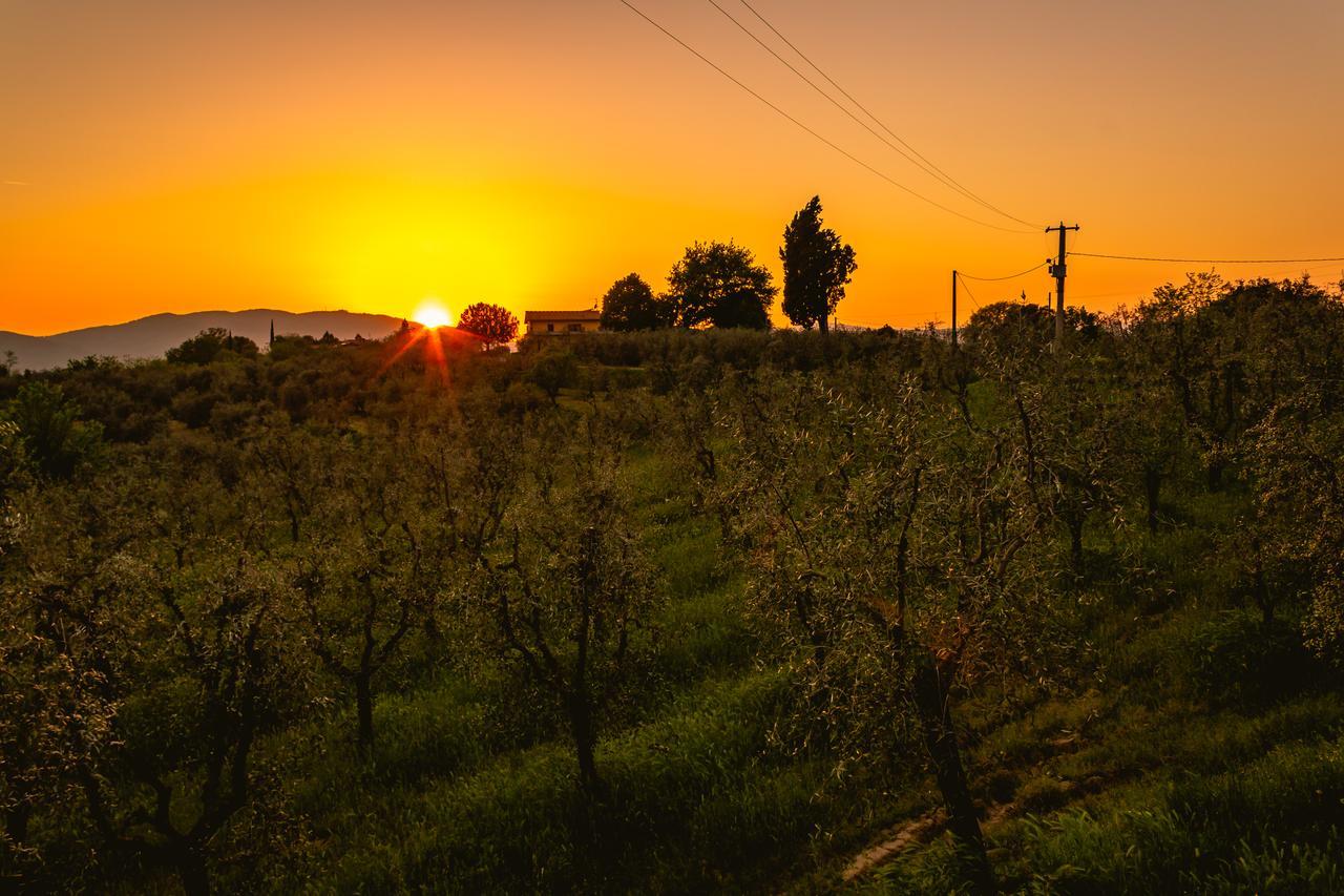 Agriturismo Bellosguardo ريغلو المظهر الخارجي الصورة